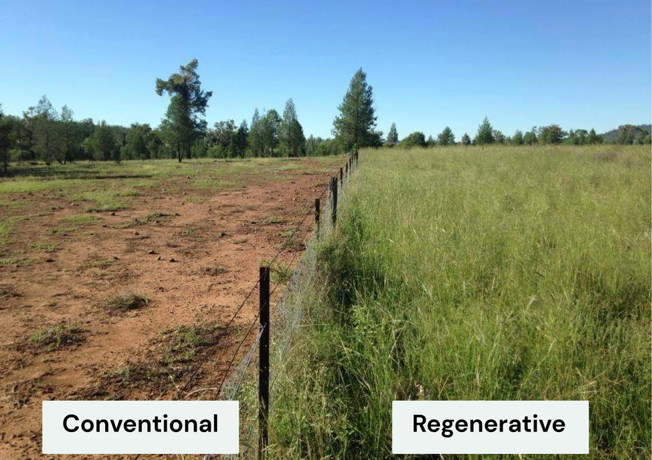 MarkRyden Introduction to Environmental Protection