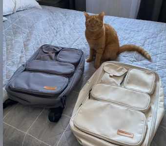 MarkRyden Global gray/beige anti-theft backpacks on bed with orange cat